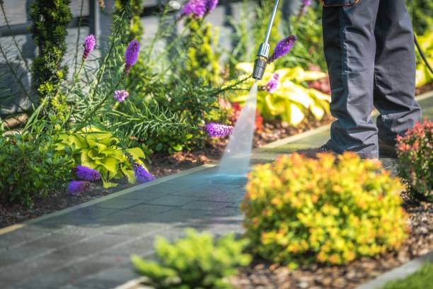Best Driveway Cleaning and Restoration in Jonesville, VA